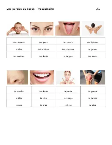Les parties du corps