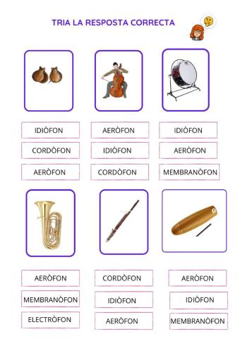 Classificació dels instruments
