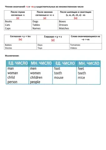 Reading -s-es plural nouns