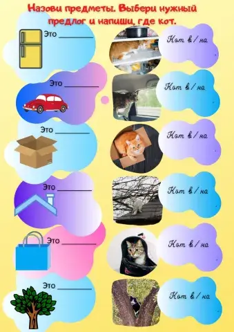 Где кот? Что? Где?