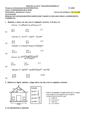 Trabajo practico integrador de 5° año