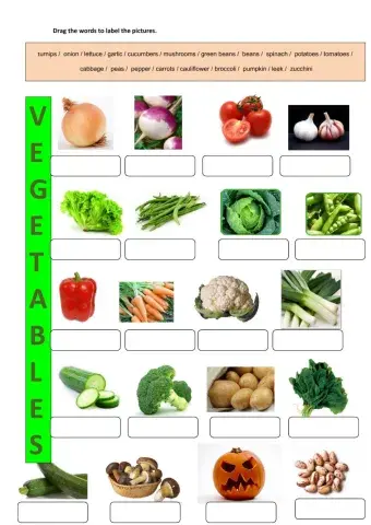 Vegetables