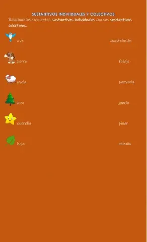 Sustantivos individuales y colectivos