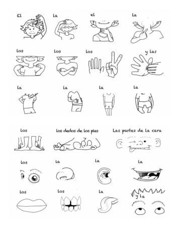 Las partes del cuerpo Rock a lingua