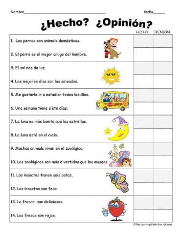 Hecho y opinión