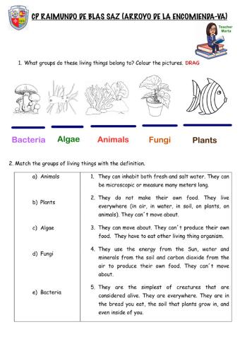 Unit 4 Classifying Living Things