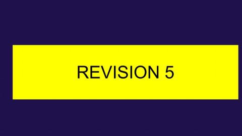 Revision 5