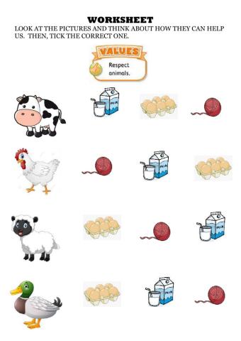 Farm Animals' Products