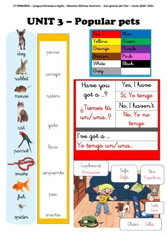 San Ignacio del Viar -UNIT 3 POPULAR PETS