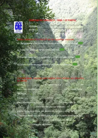 Naturales 6º-Unidad 1 (2ª parte)