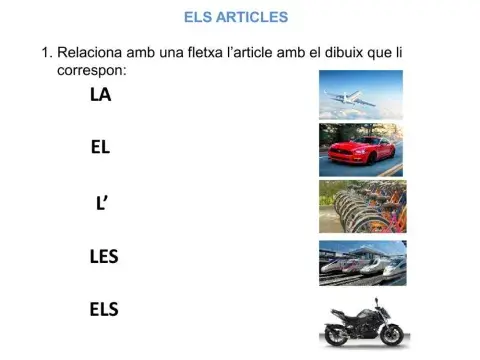 Els articles
