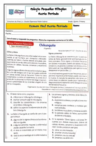 Evaluacion acumulativa cuarto poeriodo