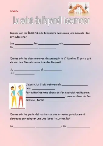 La salut del aparell locomotor