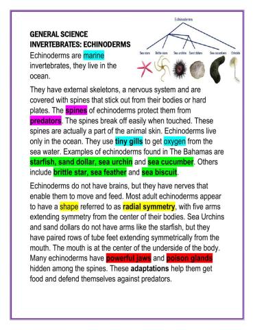 GENERAL SCIENCE: Echinoderms Notes