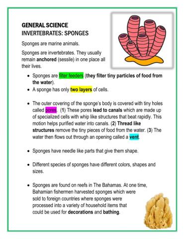 GENERAL SCIENCE: SPONGES Notes