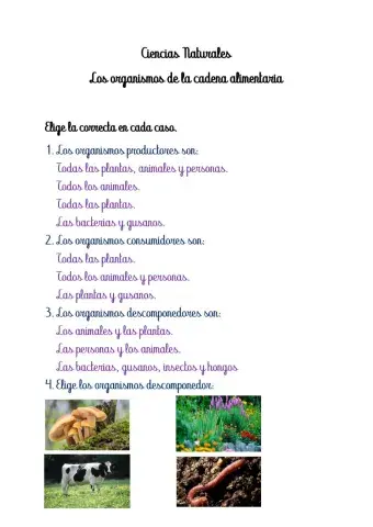 La cadena alimentaria