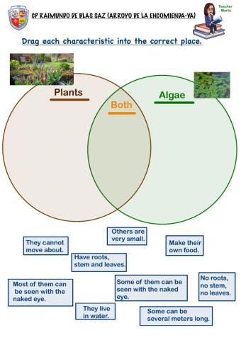 Plants vs Algae