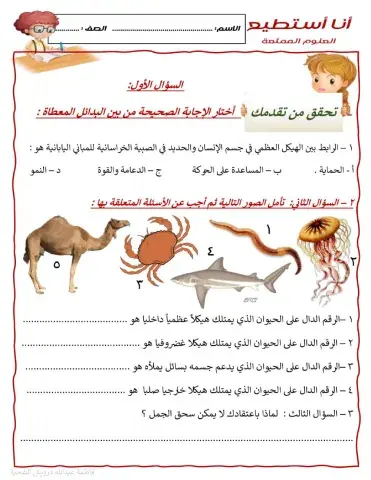 الهياكل العظمية