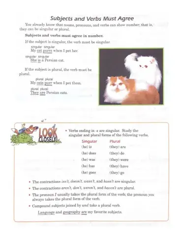 Pronoun Subject & Verb Agreement