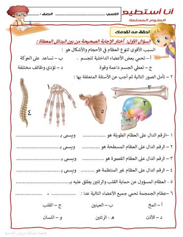 وظائف الهيكل العظمي