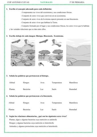 Repaso tema 2 -Los ecosistemas-