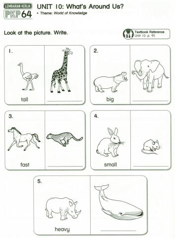 Module 10: The World Around Us