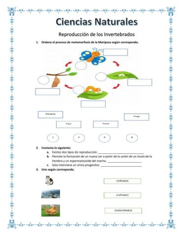 Reproducción de Animales Invertebrados.