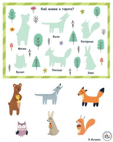 Кой живее в гората?