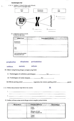 Aktiviti Uji Pemahaman 'Pembahagian Sel'