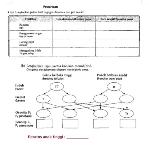 Aktiviti Uji Pemahaman 'Pewarisan'
