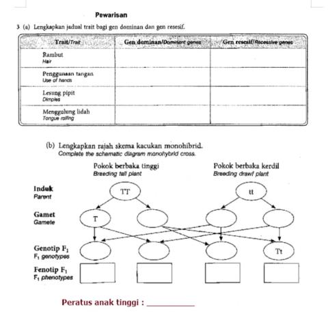 Aktiviti Uji Pemahaman 'Pewarisan'