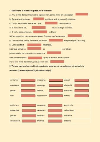 Pronoms determinatius i febles