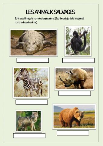 Animaux sauvages