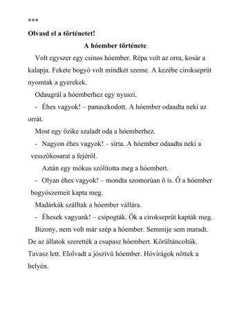 Olvasás szövegértés A hómeber története xxx