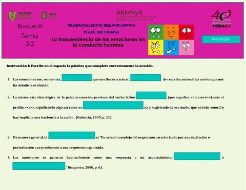 La trascendencia de las emociones en la conducta humana