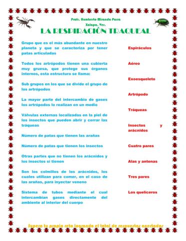 La respiración traqueal