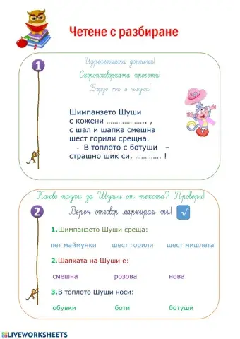 Четене с разбиране. Шш