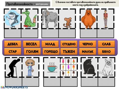 Противоположности, внимание