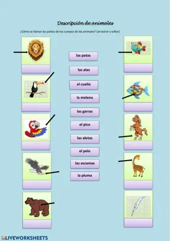 Descripción de animales