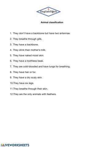 Animal classification