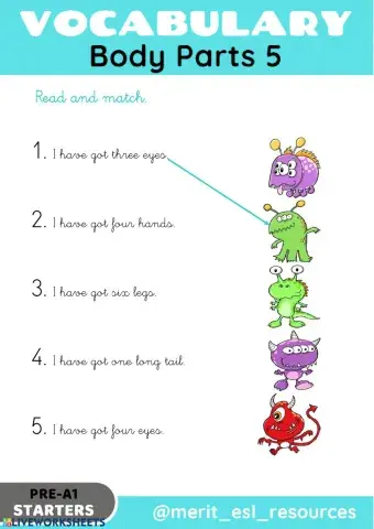 Body Parts - Read and match