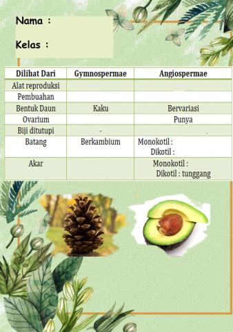 Perbedaan Angiospermae dan Gymnospermae