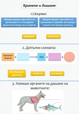 Хранене и дишане