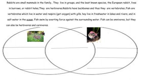 Compare and Contraste