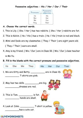 Pronouns and Pronoun Adjectives