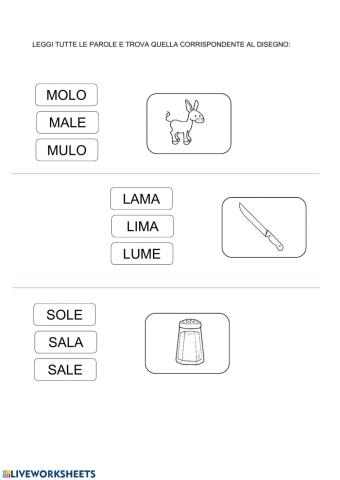 Trova la parola giusta