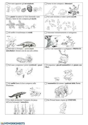 Dagli unicellulari agli ominidi