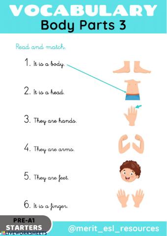 Body Parts - Read and match