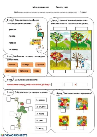 Междинно ниво Околен свят 1. клас