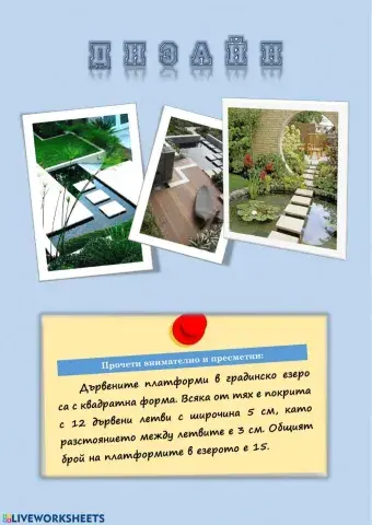 Лице на правоъгълник - 4. клас